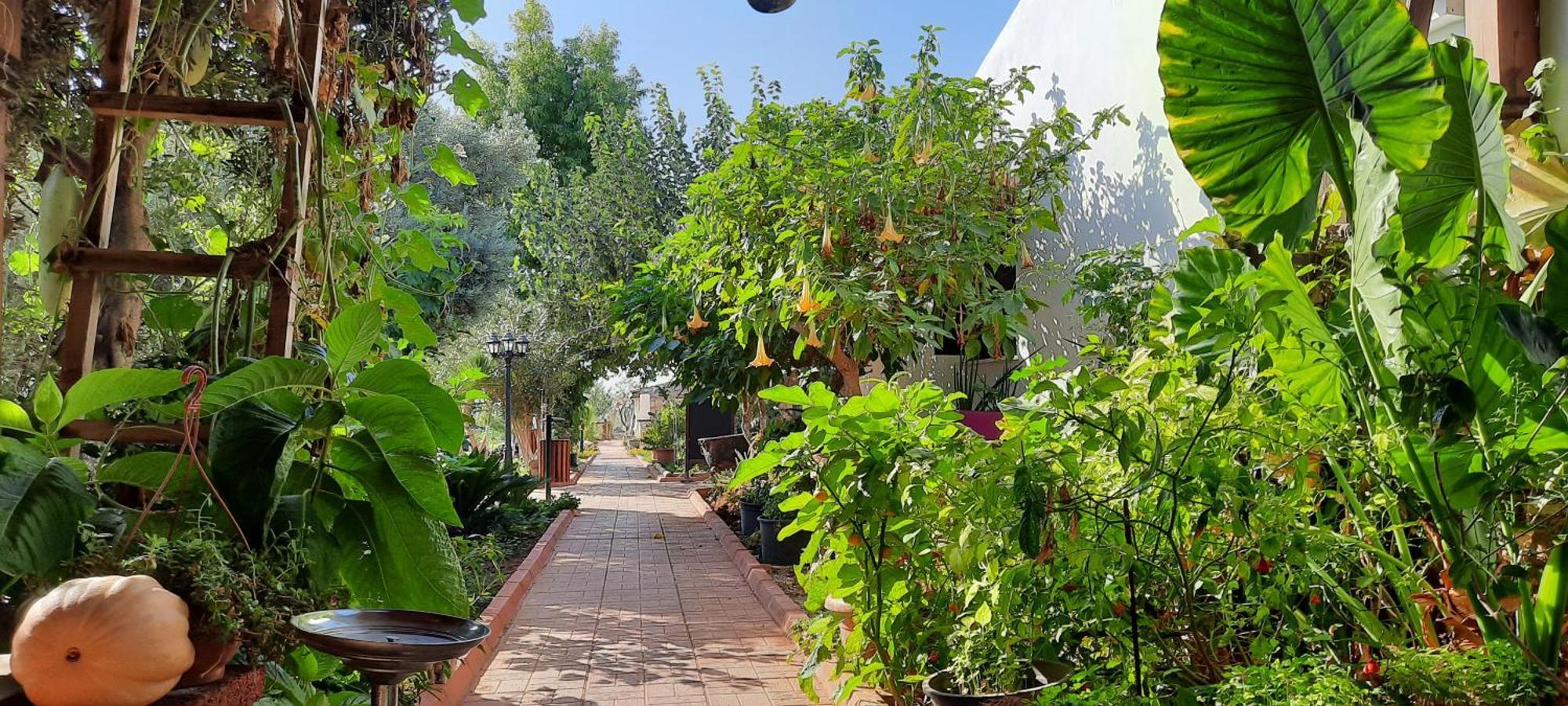 Osman Aga Culture House Apartment Famagusta  Ngoại thất bức ảnh